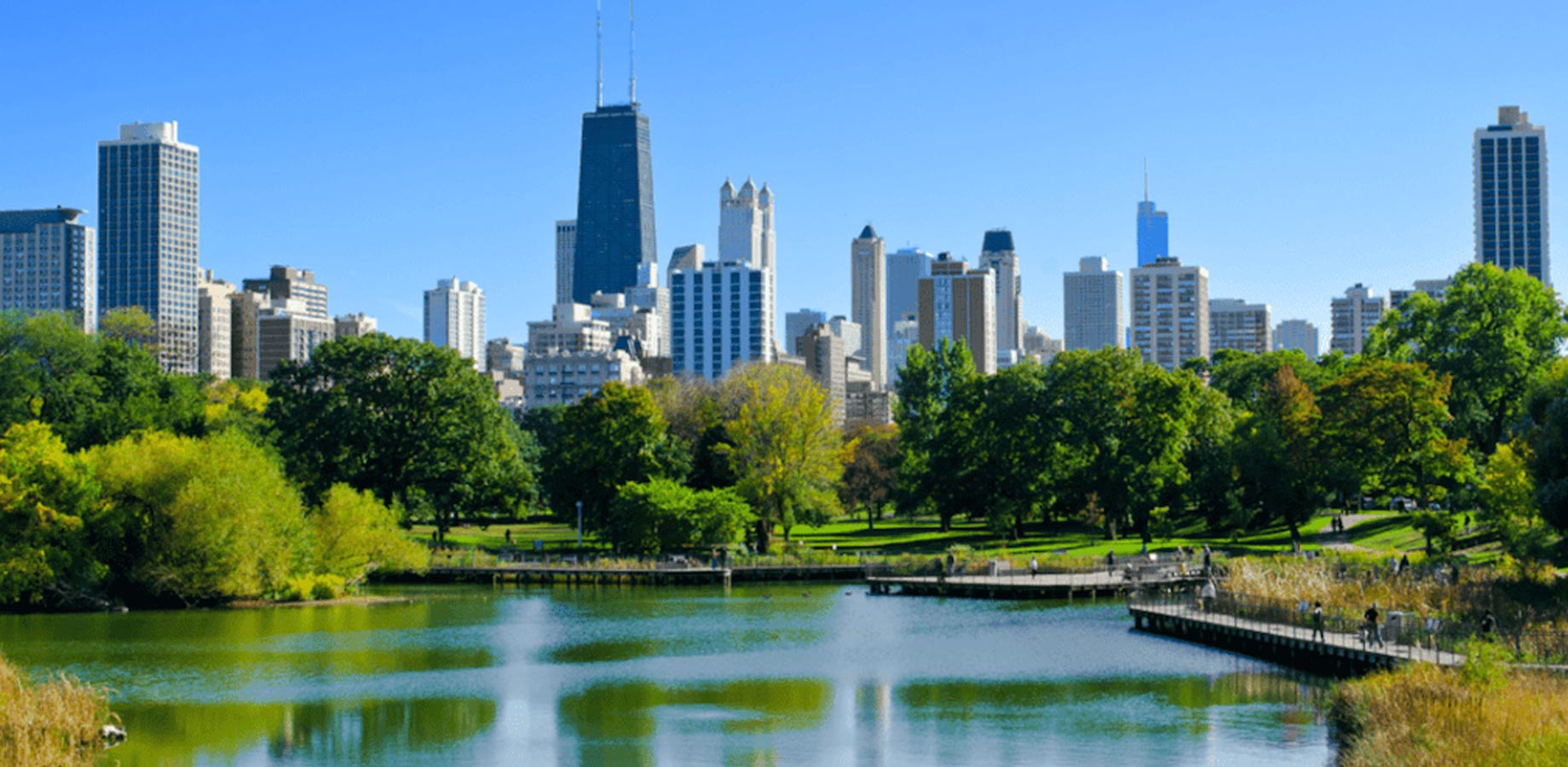 Looking at Chicago's Lincoln Park skyline through a park with a body of water in front.