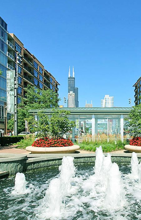 Fountain in South Loop with flowers and buildings in the background.