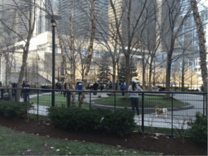 Lakeshore East Dog Park during the day